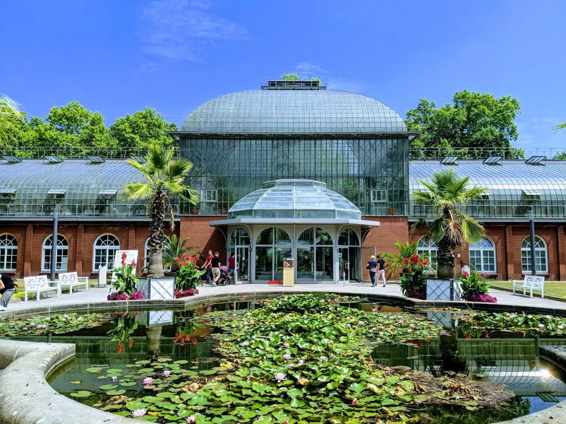 Palmengarten, Fráncfort