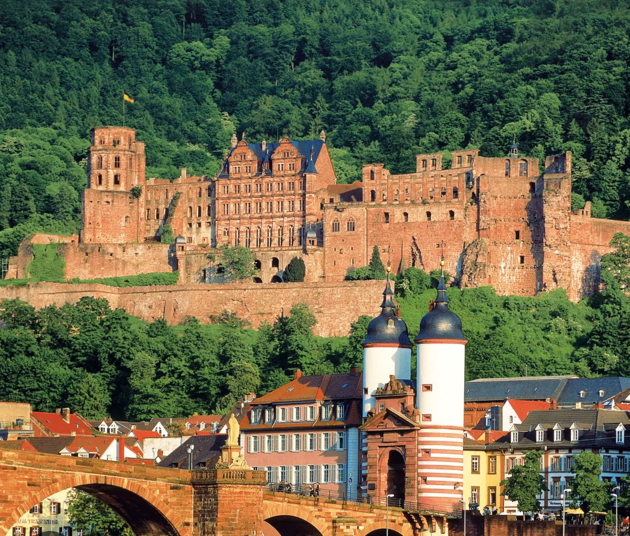 Schloss Heidelberg (Heidelberg Castle), Frankfurt