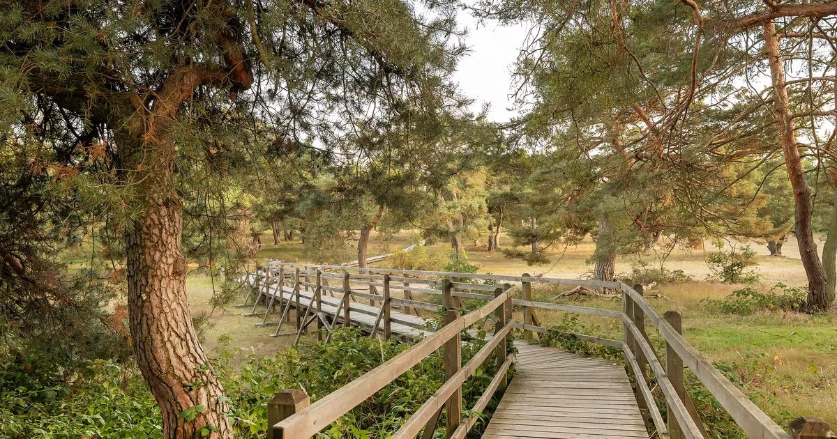 Frankfurter Stadtwald (Bosque Urbano de Fráncfort), Fráncfort