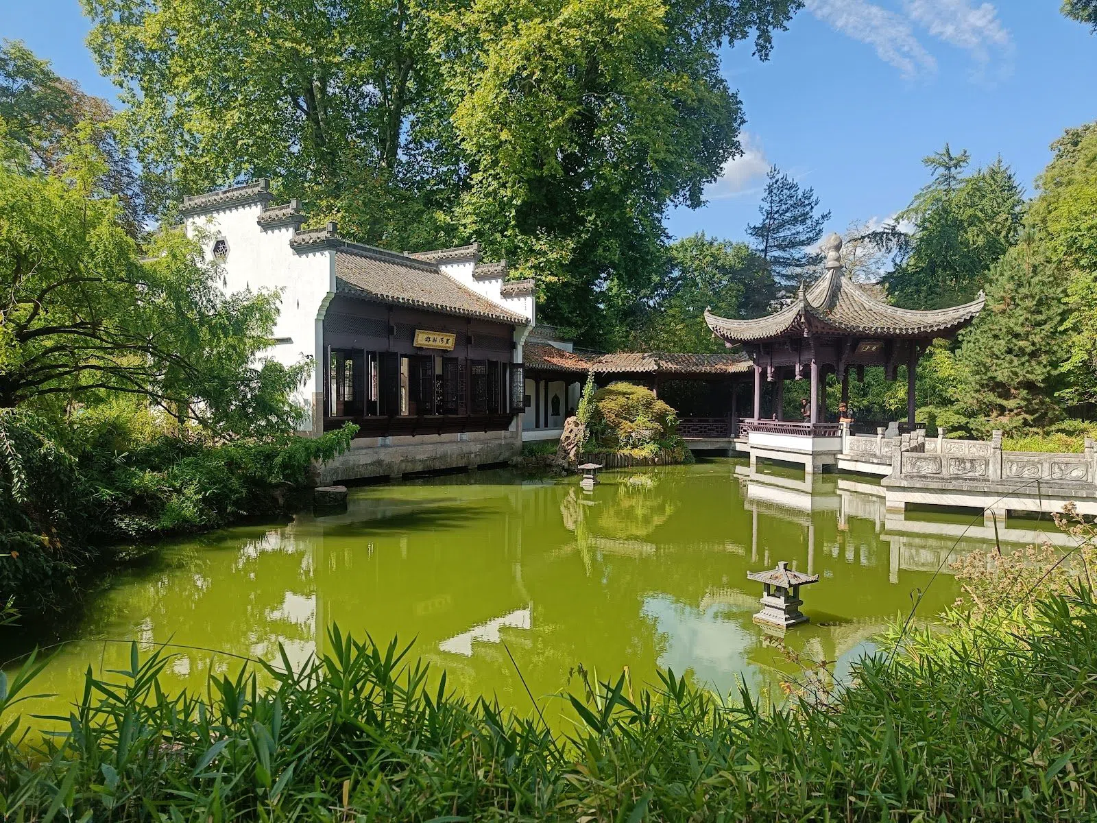 Bethmannpark y Jardín Chino, Fráncfort
