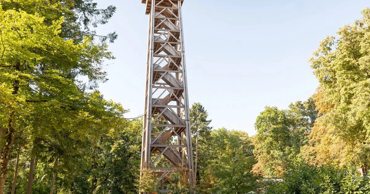 Goetheturm y parque infantil forestal, Fráncfort