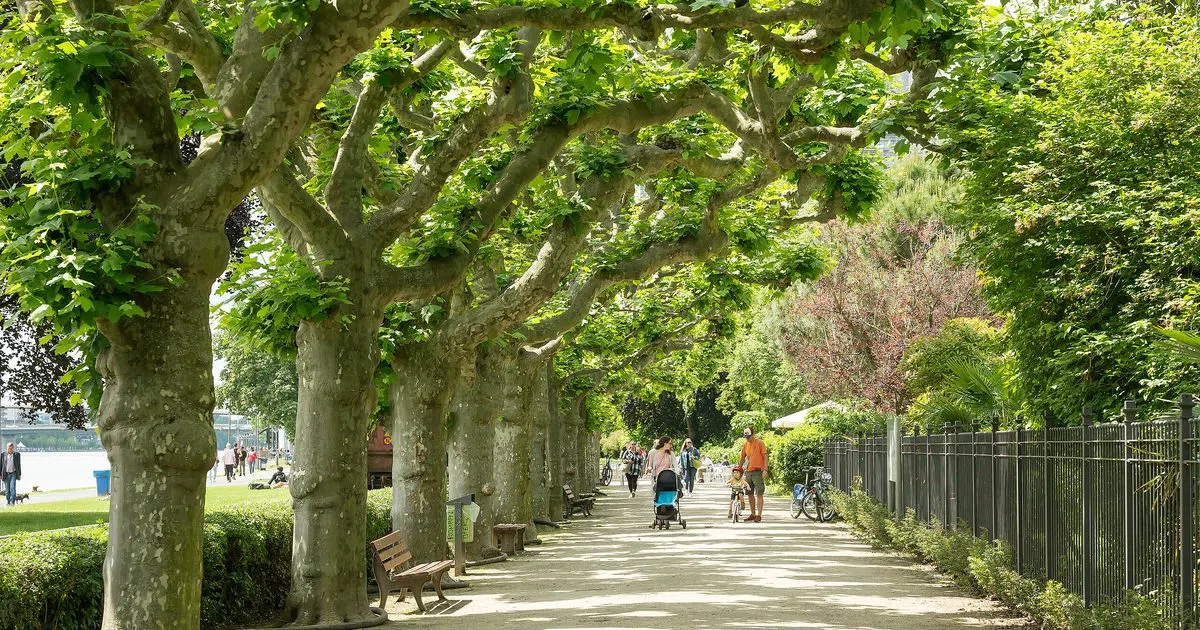 Nizza Garden (Nizza-Anlage), Fráncfort