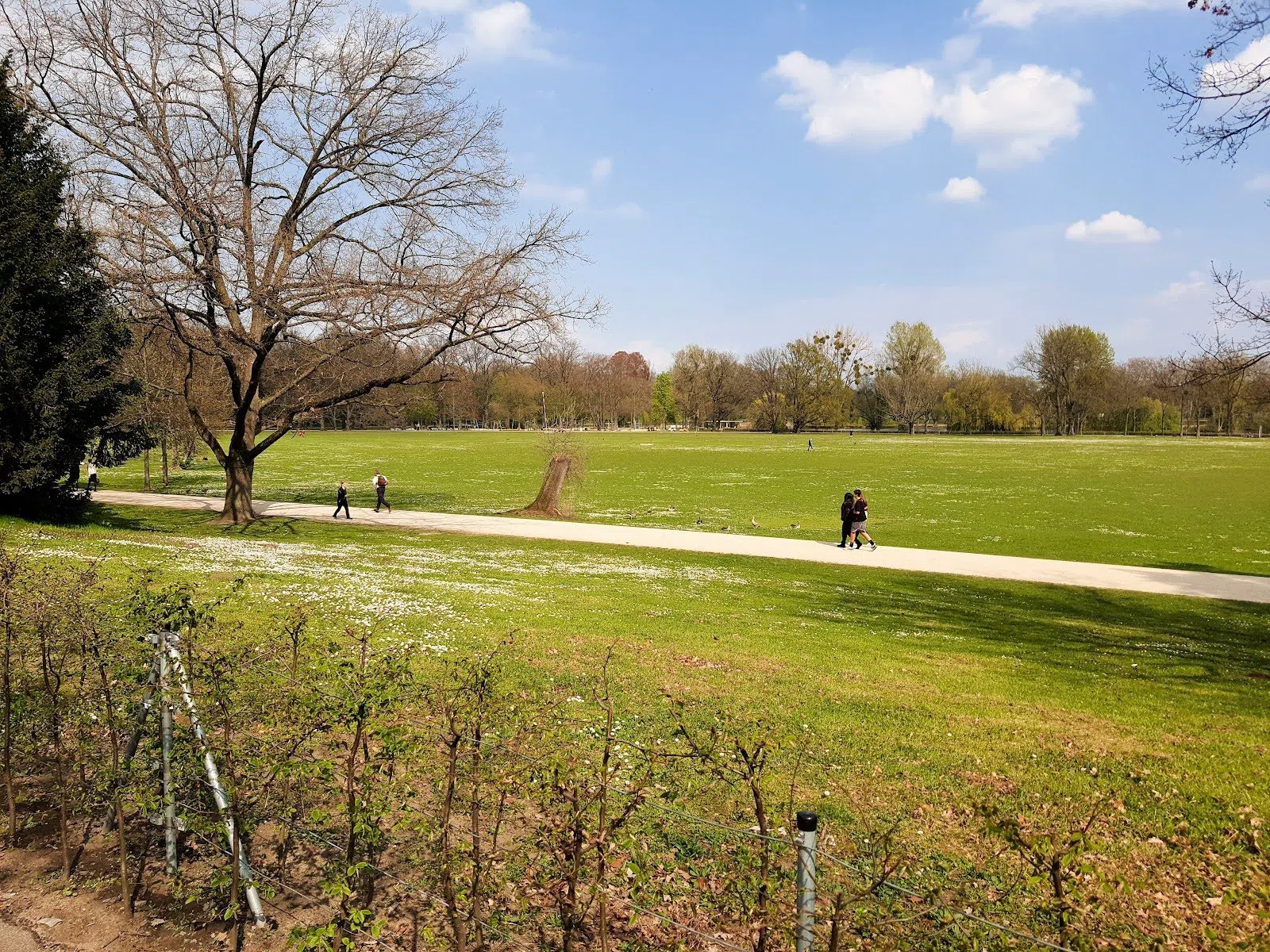 Ostpark, Fráncfort